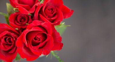 Bir buket kırmızı gül. Düğün günü. Sevgililer Günü