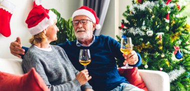 Yaşlı çift rahatça konuşuyor ve birlikte şarap içiyor. Oturma odasındaki kanepede. Emeklilik çifti konsepti.