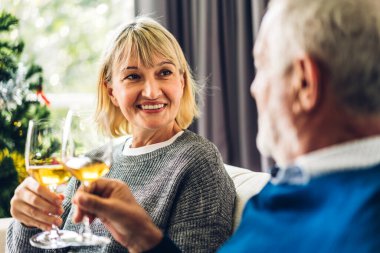 Yaşlı çift rahatça konuşuyor ve birlikte şarap içiyor. Oturma odasındaki kanepede. Emeklilik çifti konsepti.