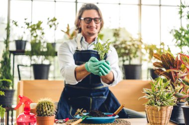 Mutlu bahçıvan yaşlı yaşlı adam, genç bitkilere bakıyor ve bahçeyle bahçeyle ilgileniyor. Evde küçük ağaçlara bakıyor. Emeklilik kavramı.