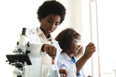 İki Afro-Amerikan tatlı oğlan ve kız öğrenci araştırma öğreniyor ve kimyasal deney yapıyor. Fen dersinde test tüpünde sıvı karıştırıyor ve analiz ediyor.