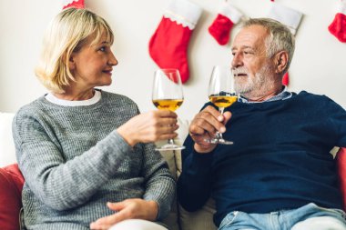 Yaşlı çift rahatça konuşuyor ve birlikte şarap içiyor. Oturma odasındaki kanepede. Emeklilik çifti konsepti.