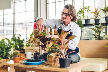 Mutlu bahçıvan yaşlı yaşlı adam bahçedeki küçük ağaçları sulayan ve bahçeyle bahçeyle ilgilenen genç bitkilere bakıyor. Emeklilik kavramı.