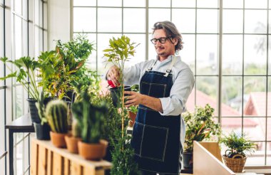 Mutlu bahçıvan yaşlı yaşlı adam bahçedeki küçük ağaçları sulayan ve bahçeyle bahçeyle ilgilenen genç bitkilere bakıyor. Emeklilik kavramı.