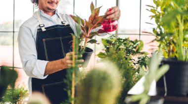 Mutlu bahçıvan yaşlı yaşlı adam bahçedeki küçük ağaçları sulayan ve bahçeyle bahçeyle ilgilenen genç bitkilere bakıyor. Emeklilik kavramı.