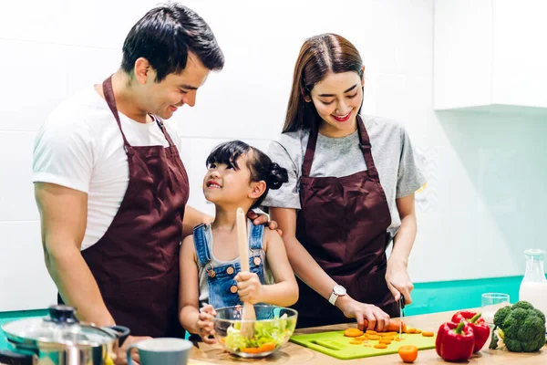 Mutlu Bir Aşk Portresi Asyalı Aile Babası Küçük Asyalı Kız — Stok fotoğraf