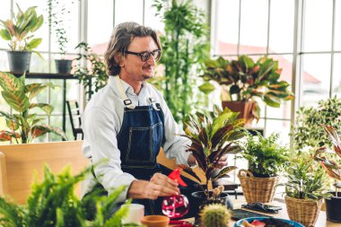 Mutlu bahçıvan kıdemli yaşlı adam bahçedeki küçük ağaçla ilgilenen çiçek sulama ve bahçeyle bahçeye bakıyor. Emeklilik kavramı.