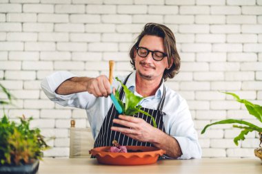 Mutlu bahçıvan kıdemli yaşlı adam bahçedeki küçük ağaçla ilgilenen çiçek sulama ve bahçeyle bahçeye bakıyor. Emeklilik kavramı.