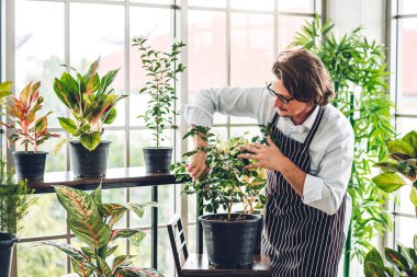 Mutlu bahçıvan kıdemli yaşlı adam bahçedeki küçük ağaçla ilgilenen çiçek sulama ve bahçeyle bahçeye bakıyor. Emeklilik kavramı.