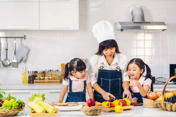 Ritratto Godere Amore Felice Famiglia Asiatica Madre Bambina Ragazza Asiatica — Foto Stock