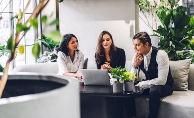 Profesyonel iş grupları strateji paylaşım fikrini yeni projeyle tartışıyor. Yeşil santral terasında dizüstü bilgisayarla çalışan yaratıcı iş adamları modern çalışma odalarını dekore ettiler.