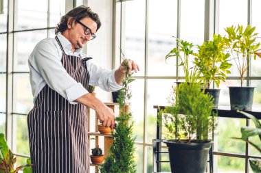 Mutlu bahçıvan kıdemli yaşlı adam bahçedeki küçük ağaçla ilgilenen çiçek sulama ve bahçeyle bahçeye bakıyor. Emeklilik kavramı.
