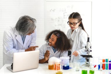 Okuldaki deney laboratuarında test tüpünde sıvı karıştırıp analiz ederken araştırma yapmayı ve kimyasal deney yapmayı öğrenen bir grup küçük tatlı öğrenci. Eğitim.