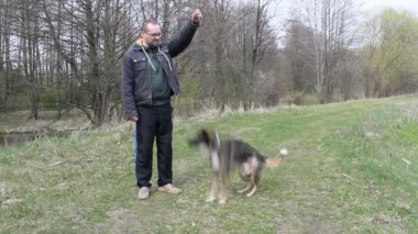 adam sahada bir köpek eğitim