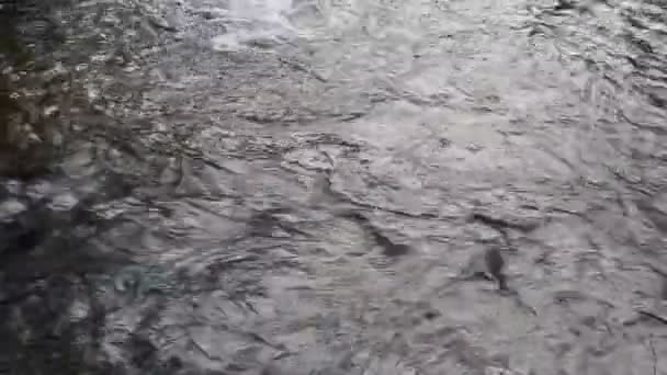 Stroom van de rivier. Water — Stockvideo