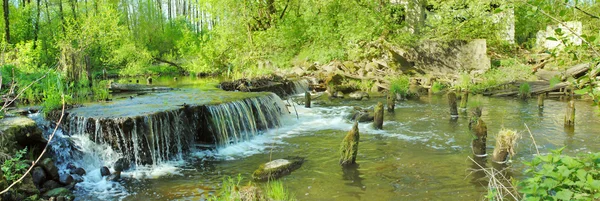 Panoramisch beeld van een waterval in het bos — Stockfoto