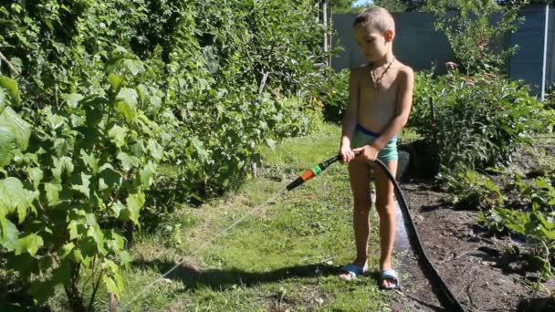 Niño pequeño con una manguera de goma regando el jardín — Vídeos de Stock