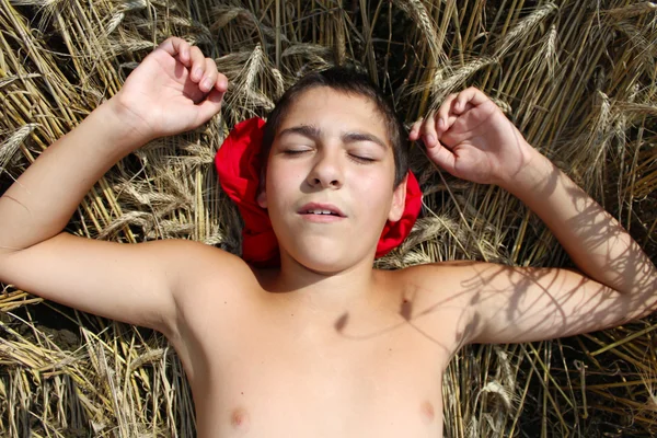 男孩在夏天躺在麦田. — 图库照片