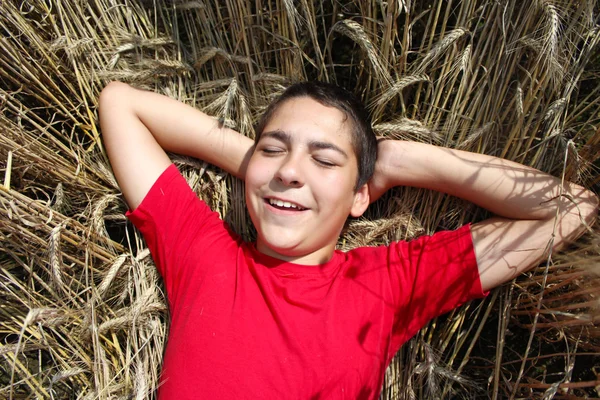 Chłopiec leży w polu pszenicy w lecie. — Zdjęcie stockowe