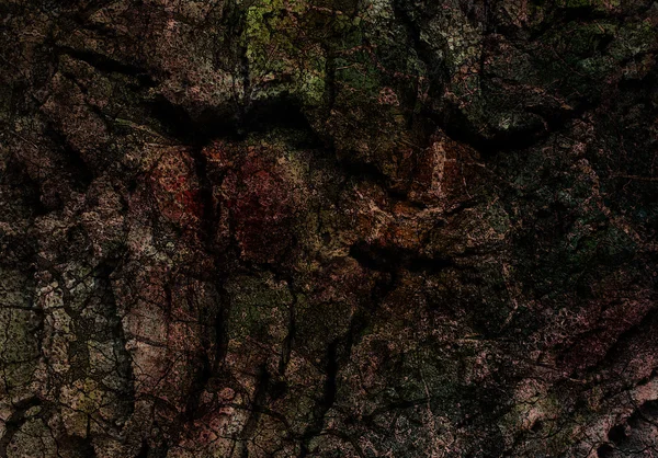 추상적인 배경 이미지입니다. 나무 질감 — 스톡 사진