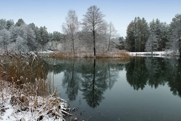 Téli Erdő Gyönyörű Táj Mint Háttér — Stock Fotó