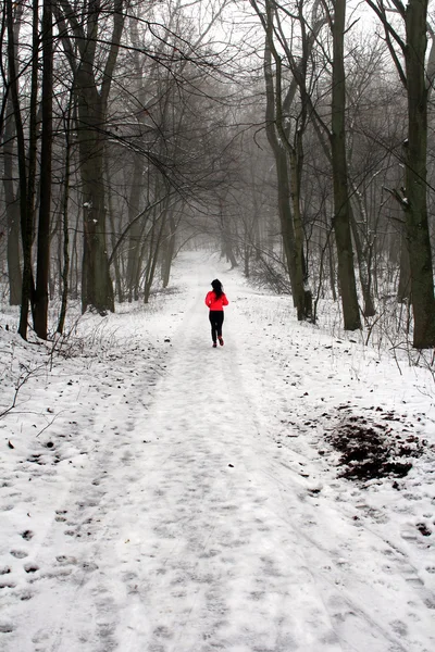 Kış ormandaki sabah dürtmek