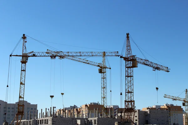 Grue de construction — Photo