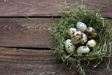 bıldırcın yumurtası