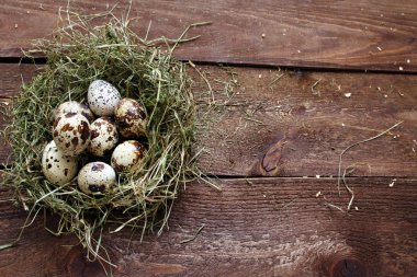 bıldırcın yumurtası