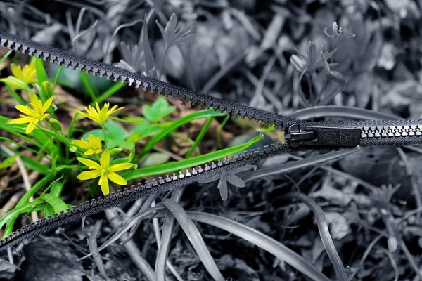 Bu dünyada daha parlak yapmak.