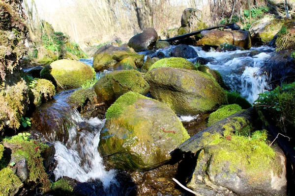 Mountain stream — Stock Photo, Image