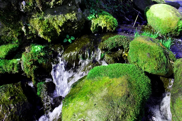 Mountain stream — Stock Photo, Image