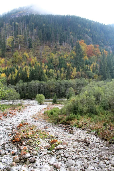 Herfst landschap. Droge rivierbedding in de bergen. — Stockfoto