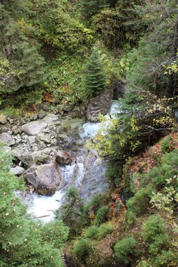 dağ nehir. bir dağ geçit küçük şelale
