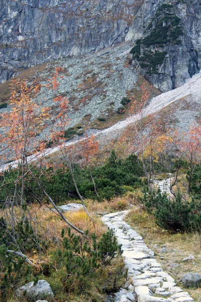 Mountain Trail. Chemin de pierre dans les montagnes en automne . — Photo