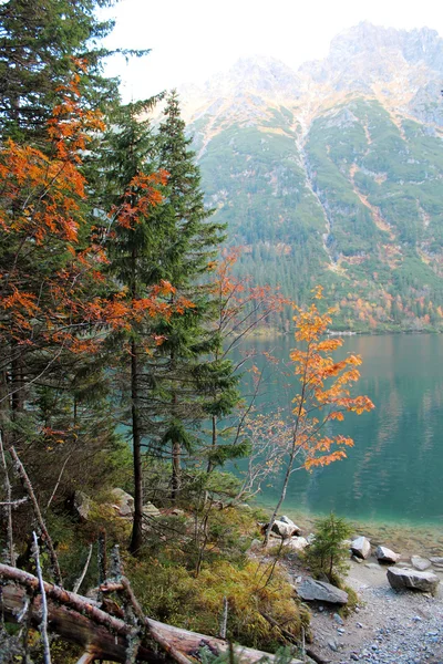 Mountain Lake. Lac bleu dans les montagnes en automne . — Photo