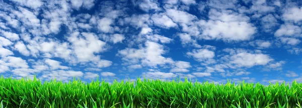 Green grass on a background of blue sky with white clouds. — Stock Photo, Image