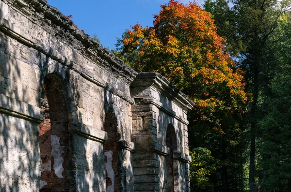 Ruins of old greenhouses on the background of autumn forest — Stock Photo, Image