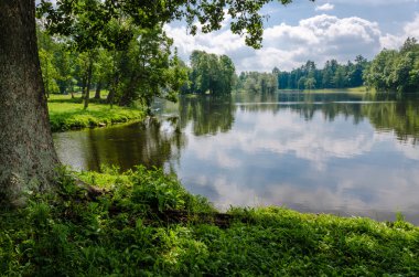 Parkta göl kenarında
