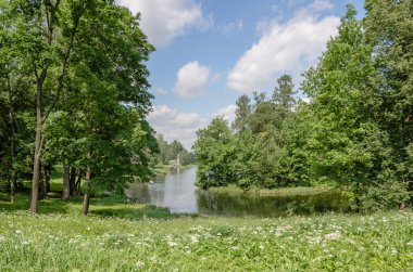 Yeşil orman ve çayır Gatchina Park çevrili gölün kıyısında.
