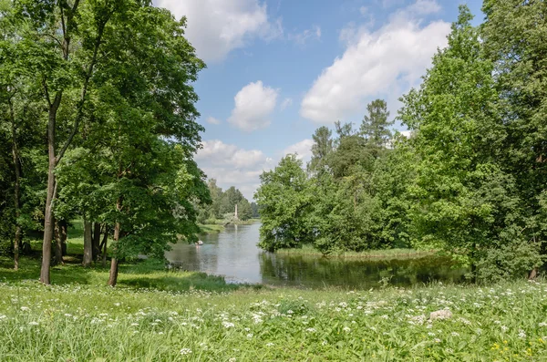 Las orillas del lago, rodeado de bosque verde y prado en el Parque de Gatchina . —  Fotos de Stock