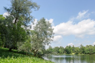 Gatchina Park gölde orman ve mavi gökyüzü arka plan üzerinde su eğilmiş söğüt ağacının sahilde, 