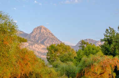 Dağ tepe. sabah güneşin ağaçları ile çerçeveli