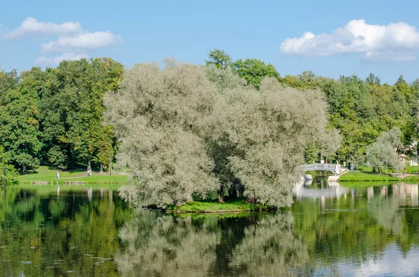 The Gatchina Park, lake — Stock Photo, Image