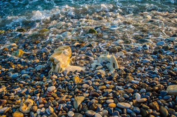 Pietrele de coastă spălate de apa mării — Fotografie, imagine de stoc