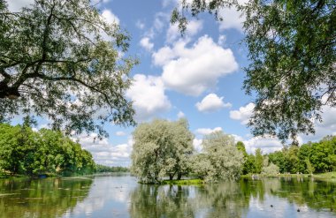 Beyaz willows mavi gökyüzü ve clouds.in güzel bir Park karşı gölün mavi su yansıtılır.