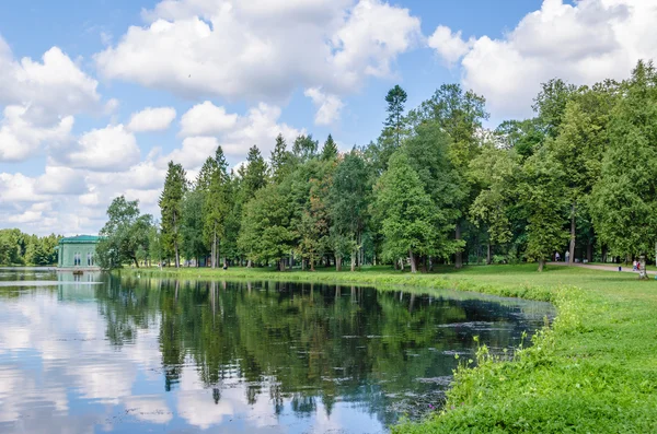 Shore of a beautiful lake with a meadow and green forest backdrop and blue sky with clouds in the Gatchina Park in the vicinity of St. Petersburg. — Stock Photo, Image