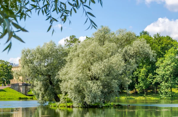 Mavi gökyüzüne karşı güzel bir gölün ortasında söğütlerle dolu küçük bir ada ve Saint Petersburg yakınlarındaki Gatchina Sarayı..