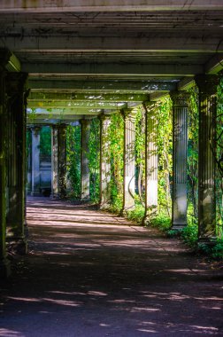 Gizemli Galeri içinde Park, Tsarskoye Selo, ışık ve gölge oyunu.