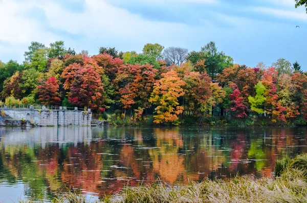 The old ruined stone pier on the background of autumn forest — Stock Photo, Image